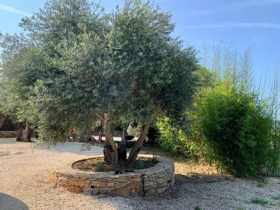 Maison Pipette Pipette Maison Le Castellet  Buitenkant foto